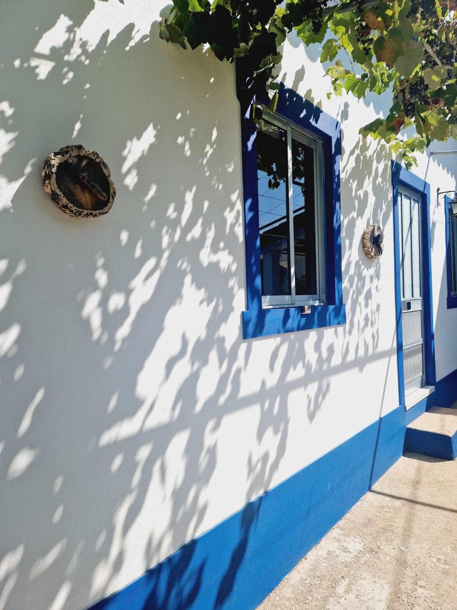 Casa Dos Martelitos Vila Salgueira  Exterior foto