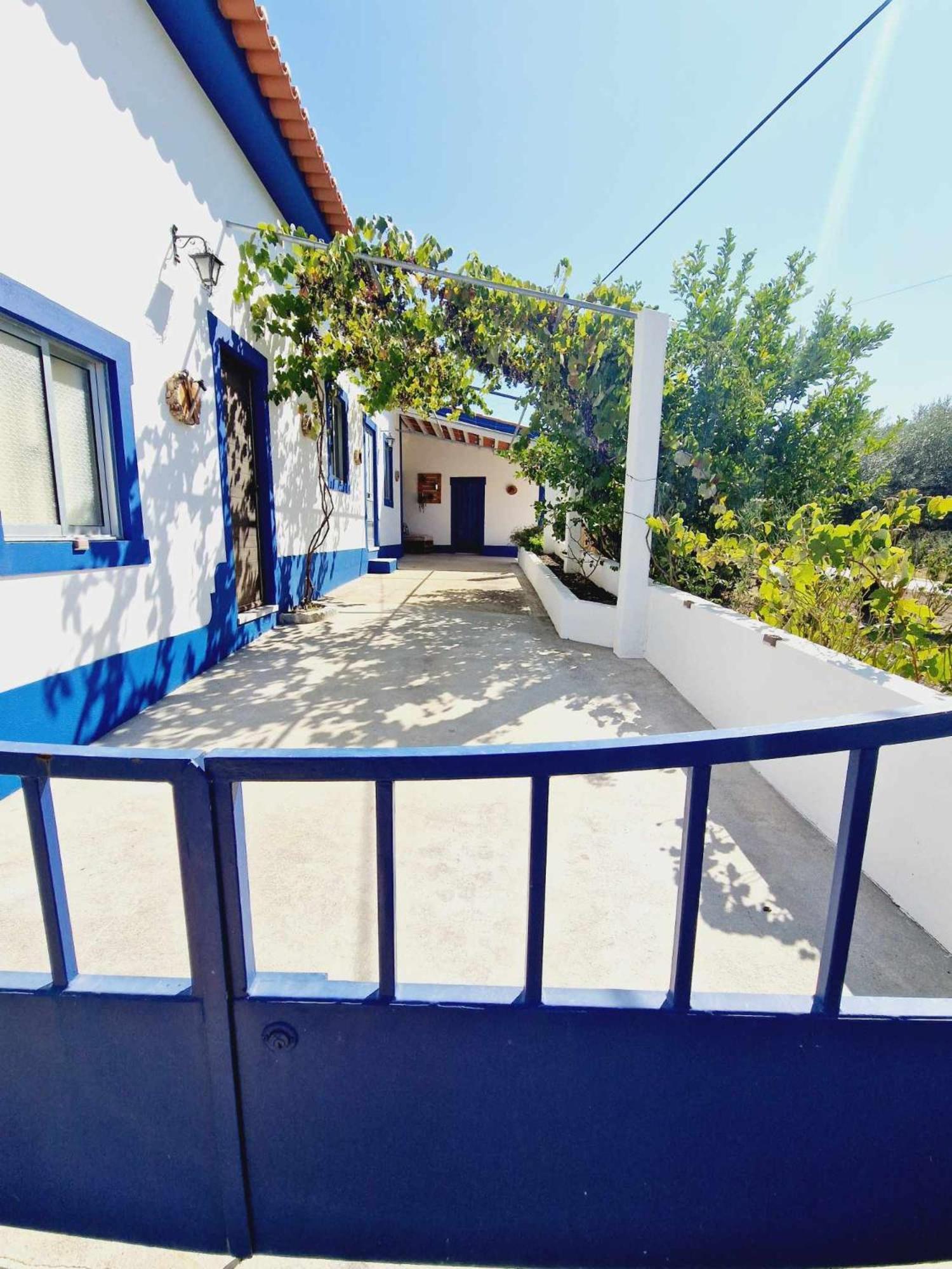 Casa Dos Martelitos Vila Salgueira  Exterior foto