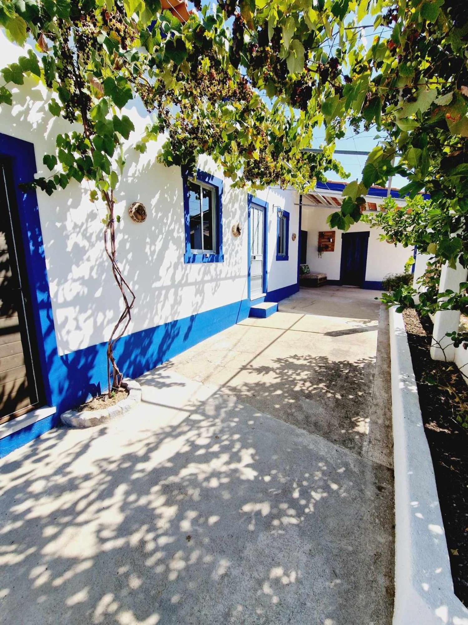 Casa Dos Martelitos Vila Salgueira  Exterior foto